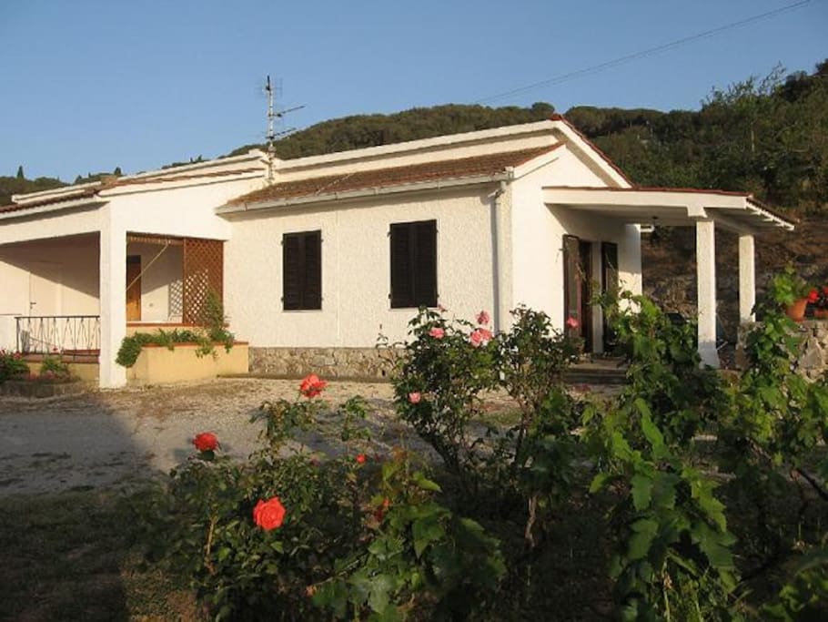 Esterno Bilocale con giardino.
