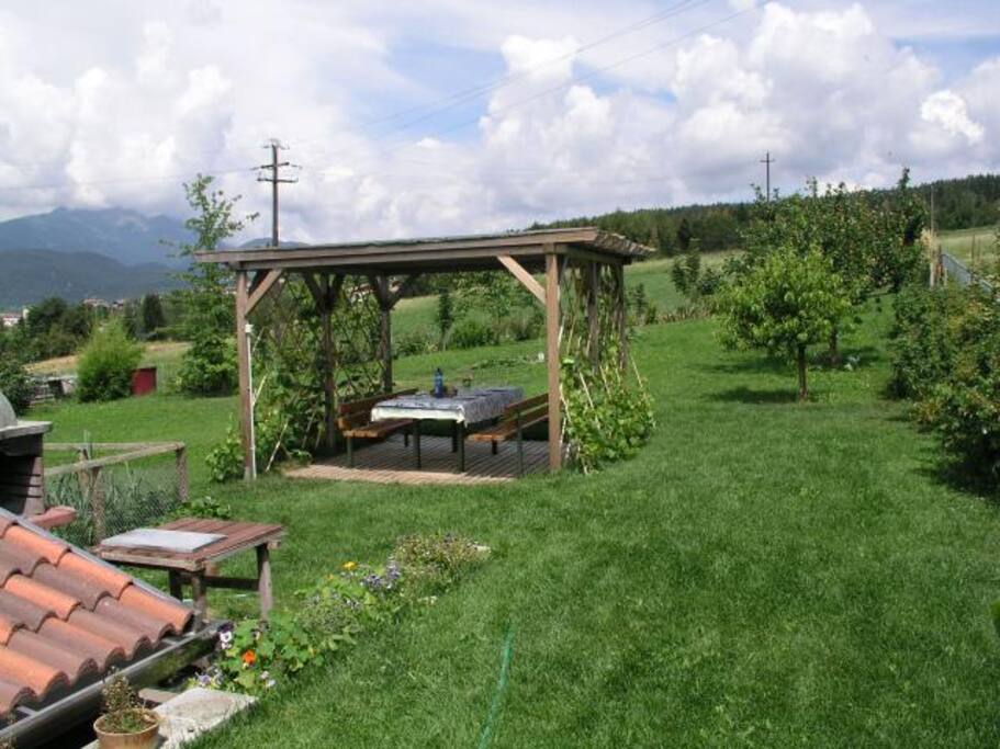bbq & gazebo