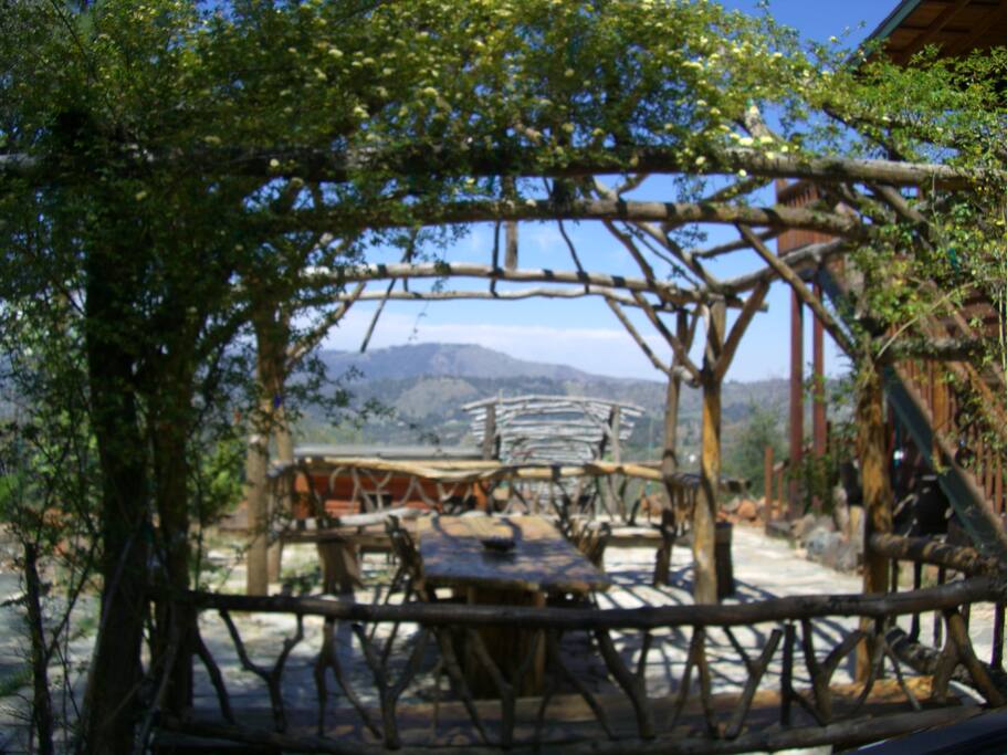 View through my gazebo