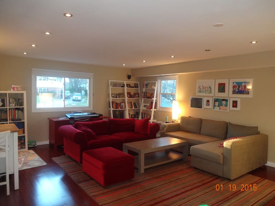 Family Room (pull out sofa)