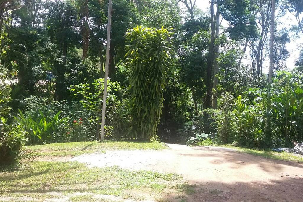 chegada