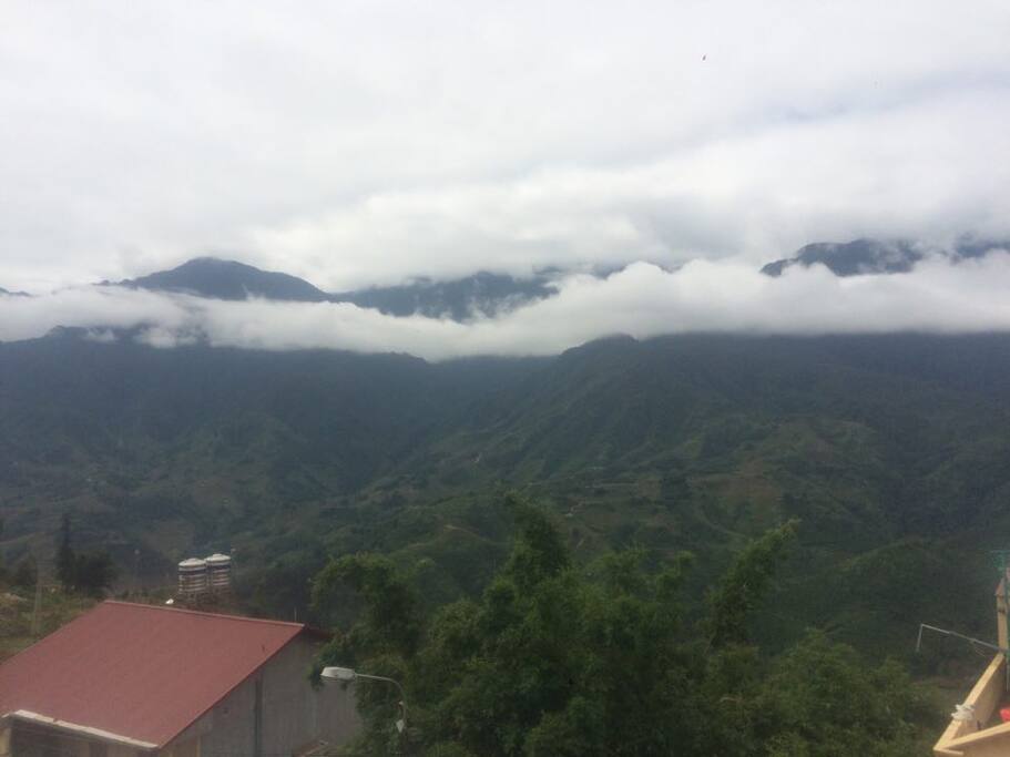View point