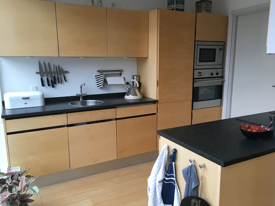 Kitchen with dishwasher, oven and microwave