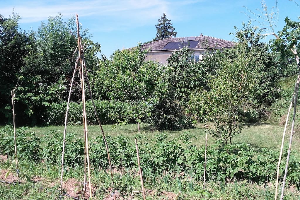 La maison vue du potager côté Est.