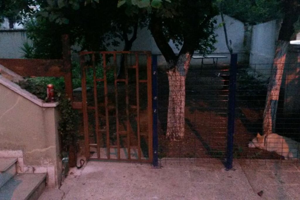 garden