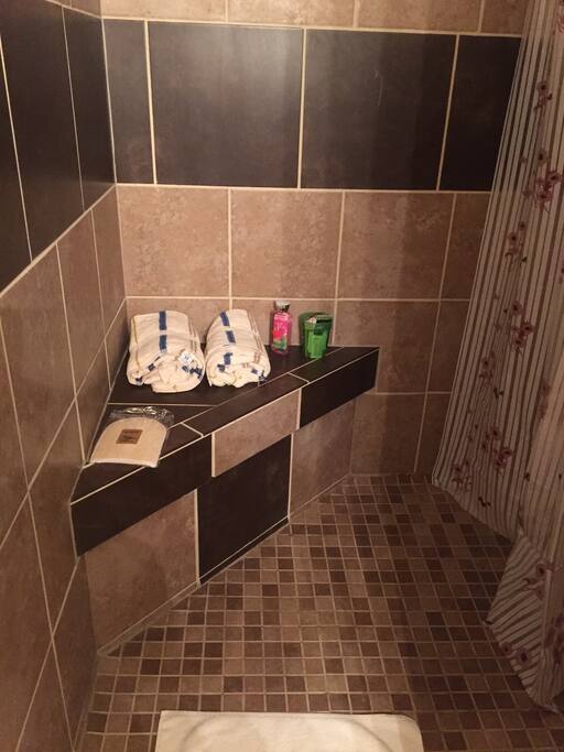Shower seat