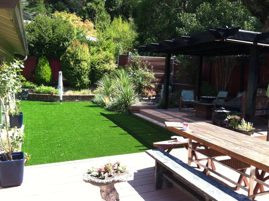 Backyard