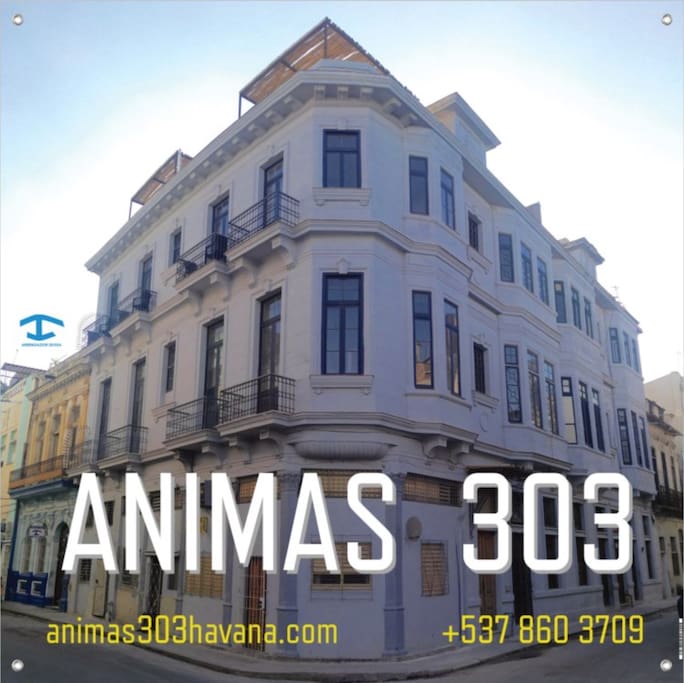 Animas 303