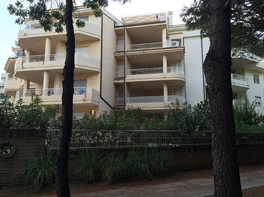 Vista Terrazza/Patio dalla pineta