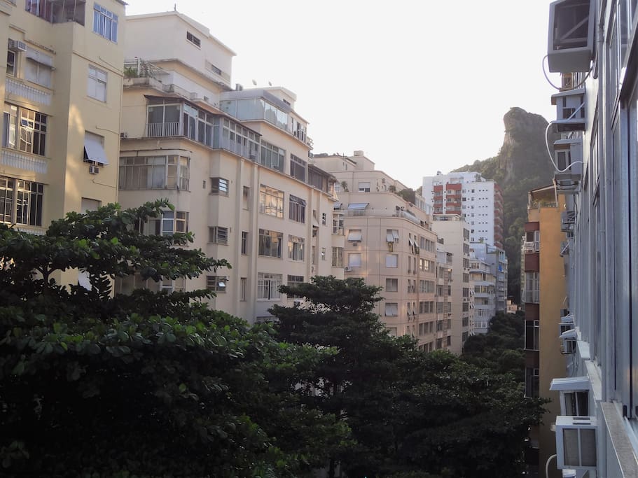 Bela vista em rua arborizada
