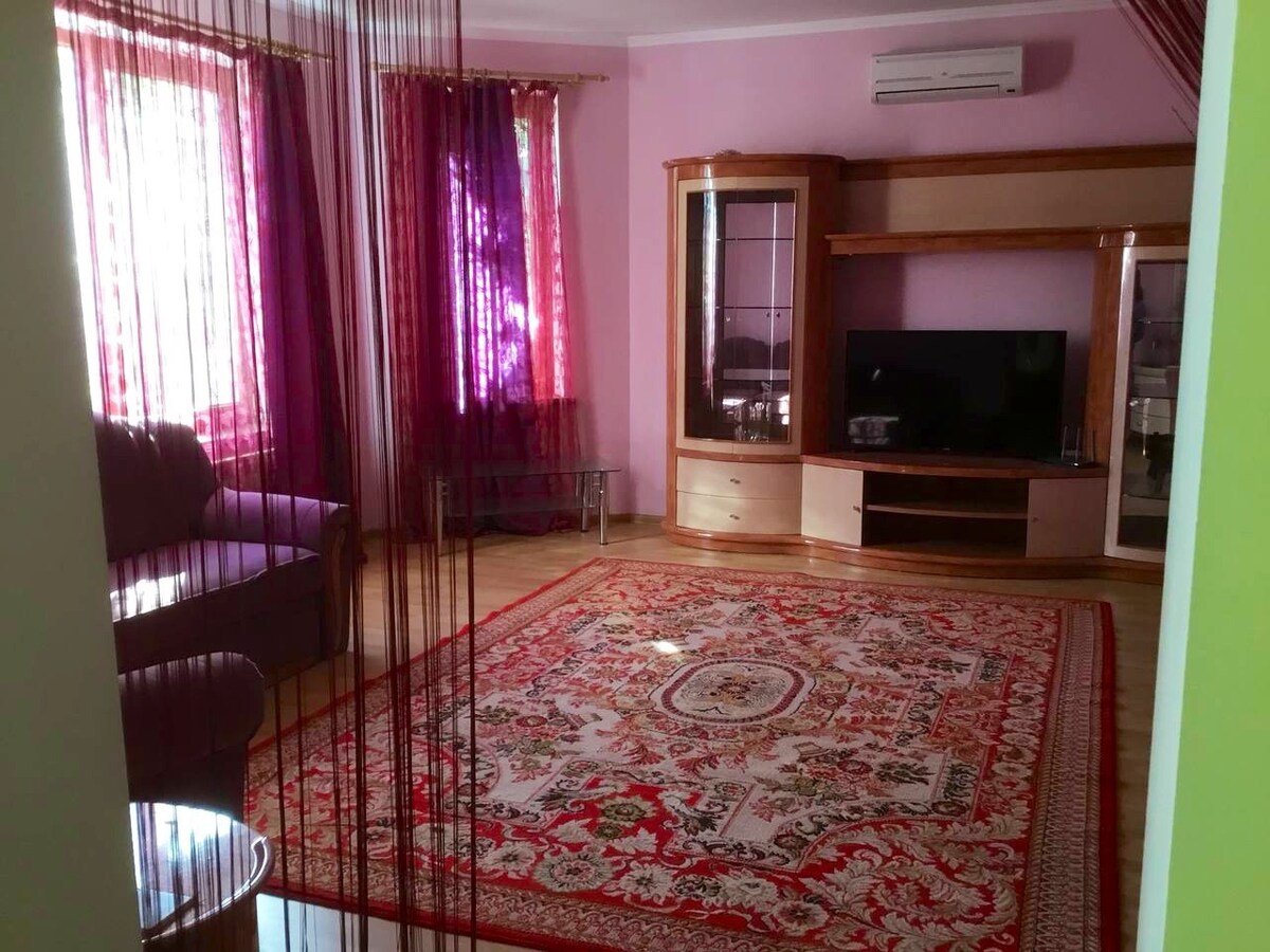 A spacious living area features a patterned area rug on the floor, with a plush sofa and a wooden entertainment unit displaying a television. Large windows are adorned with flowing pink curtains, allowing natural light to illuminate the room.