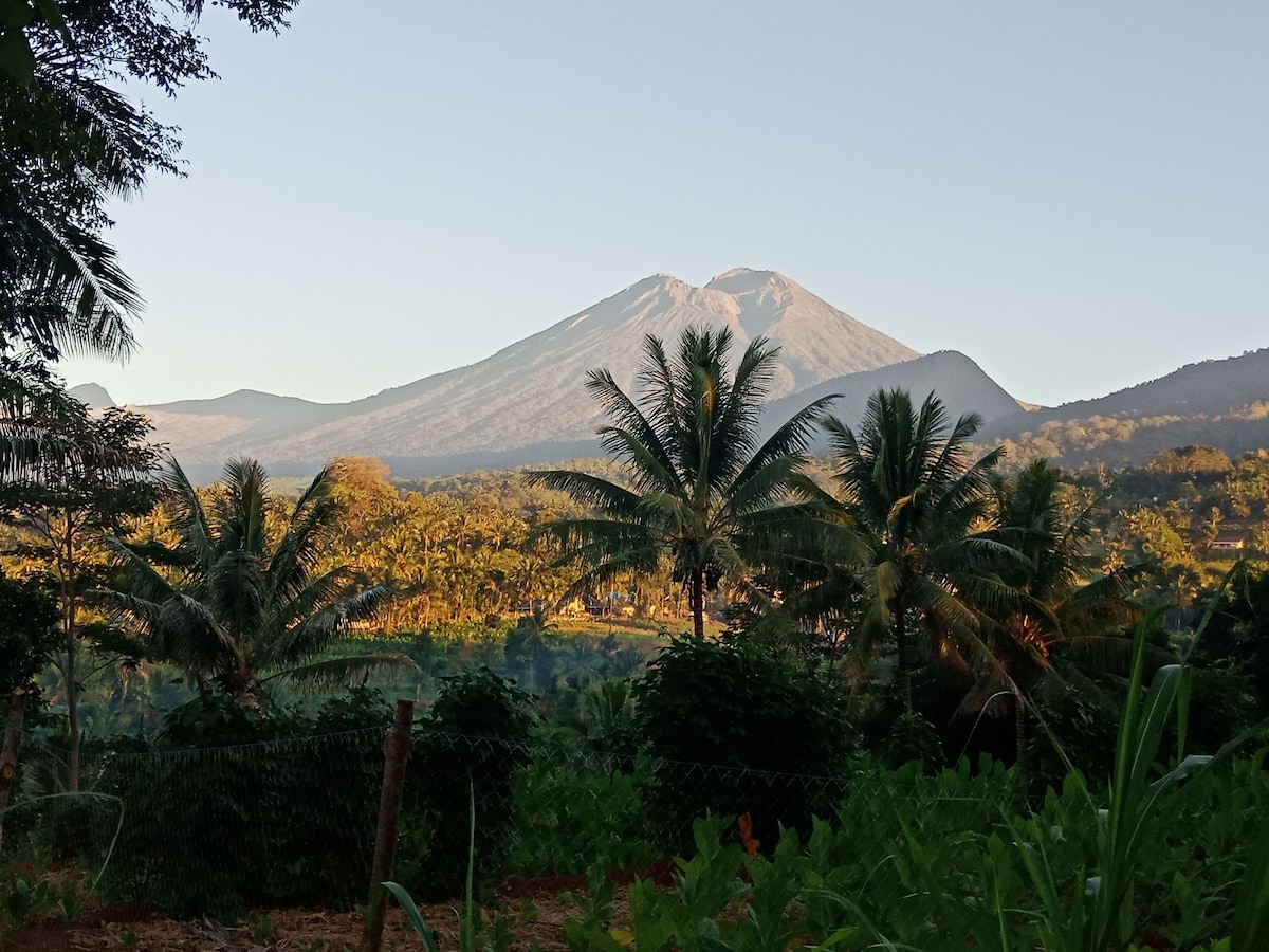 A scenic view of a towering mountain is framed by lush palm trees. The landscape features a vibrant mix of greenery, capturing the natural beauty of the surroundings during soft morning light.