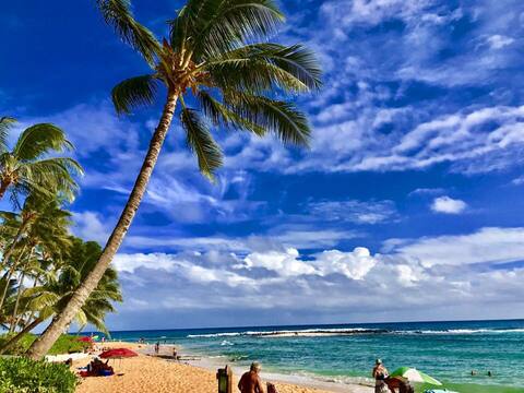 OCEANFRONT POIPU BEACH SANCTUARY IN PARADISE  w/AC