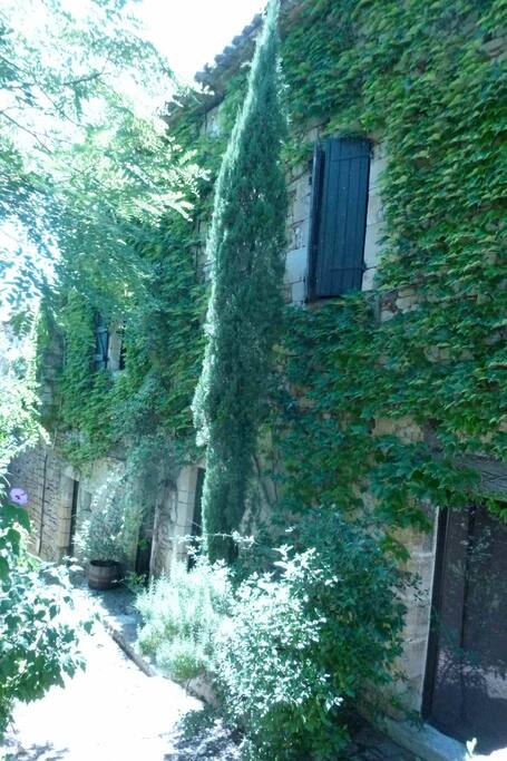 la maison côté Est, regarde le château situé à 100 m, en face de la maison, le bois du château pour les courtes balades est juste en face.
