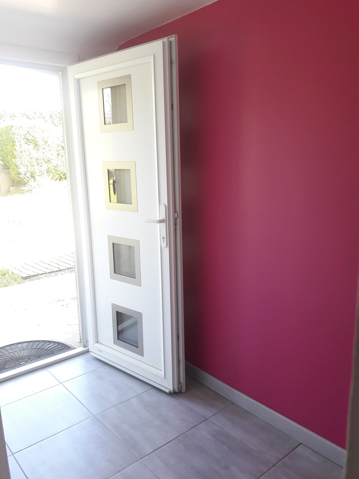 An entrance area is depicted, featuring a modern white door with three rectangular glass panels. The vibrant pink wall enhances the space, while light enters through the open door, leading to an outdoor area. A small black mat is positioned at the door's base.