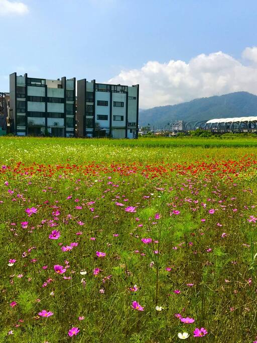 2018年4-5月實景