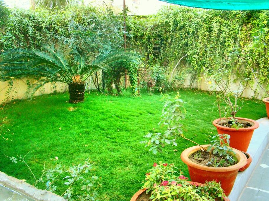 Garden