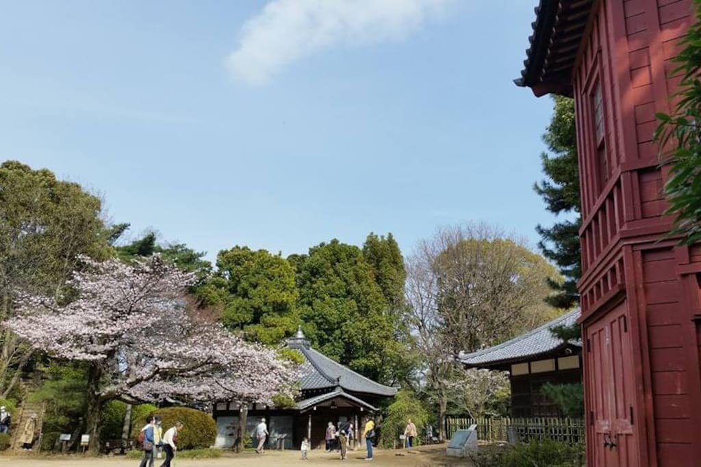 A peaceful outdoor area is visible, featuring a vibrant cherry blossom tree in bloom. Nearby, traditional Japanese buildings are surrounded by lush greenery. Several visitors can be seen enjoying the serene landscape under a clear blue sky.