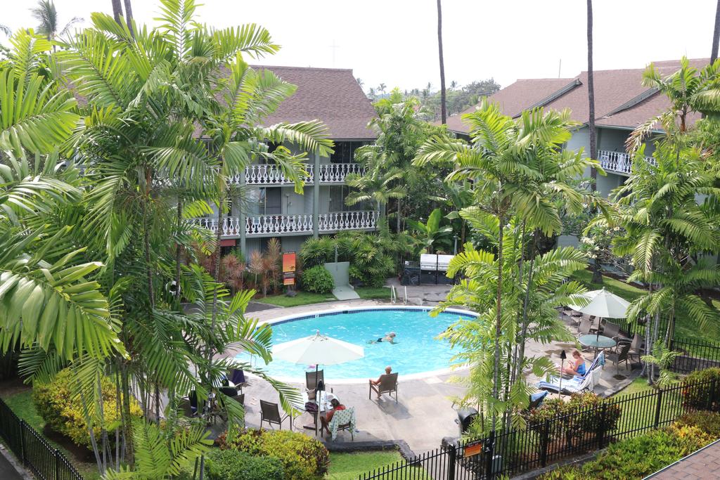 A tranquil pool area is surrounded by lush tropical landscaping, featuring palm trees and vibrant foliage. Lounge chairs are placed around the pool, where guests are seen enjoying the water and the sunny environment. The two-story building with balconies is visible in the background.