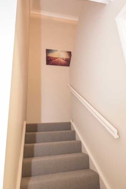 The staircase is lined with a light carpet and features a white handrail for support. A piece of wall art depicting a serene road scene is hung on the upper wall, complementing the neutral color of the walls.