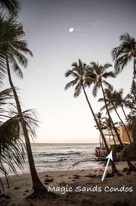 The condos are the closest you can get to the ocean on one side and the park on the other. A great snorkel reef is right out front too.