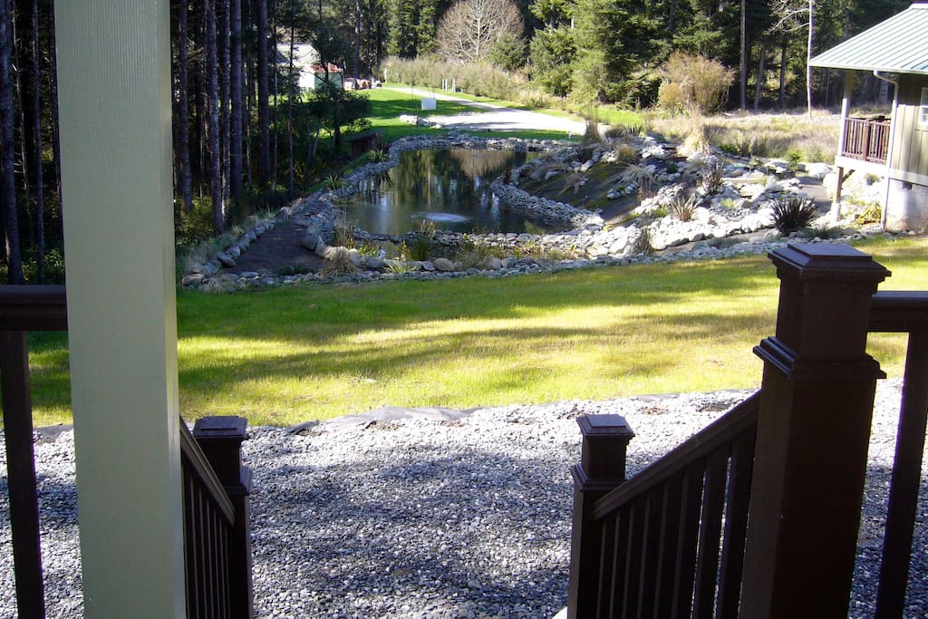 The Tranquility Pond provides habitat for wildlife. The air is filled with the sounds of 400+ species of birds in the spring and summer.