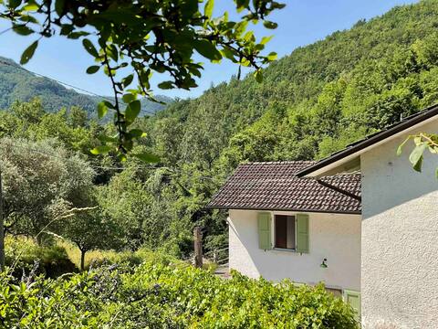 Greta Mill, Landhaus am Fluss