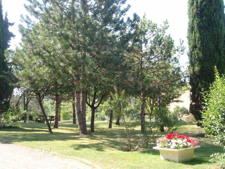 Lovely grounds