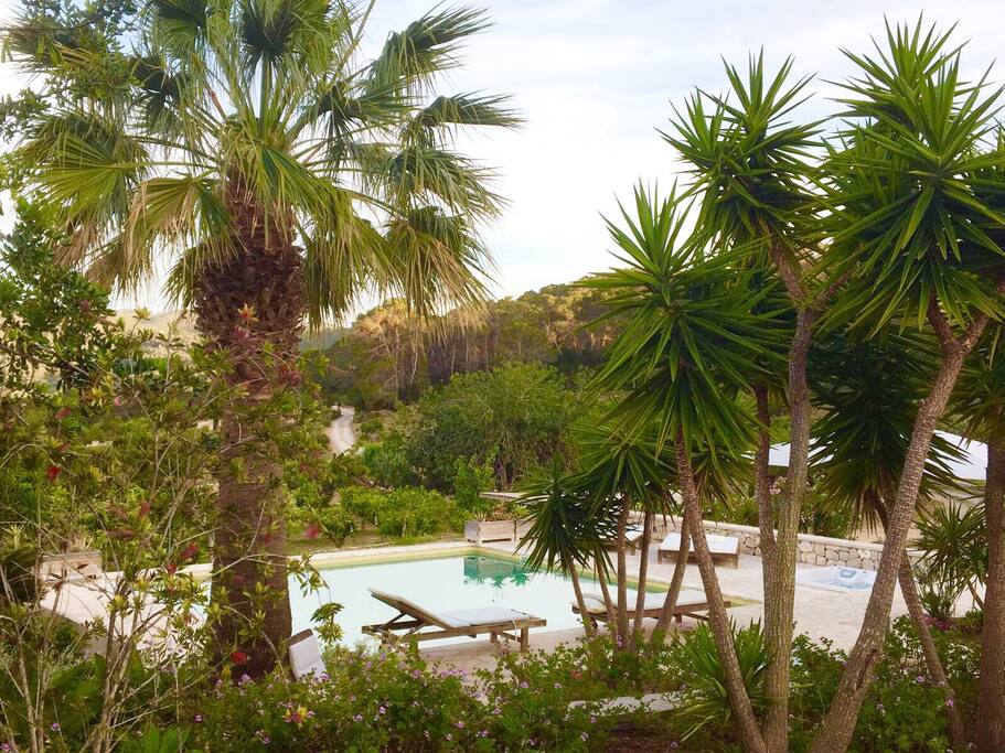Pool with a view