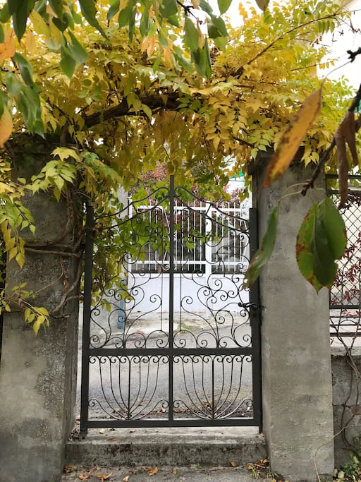 Garden Entry Gate