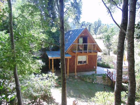 Cabin in the country near Futrono