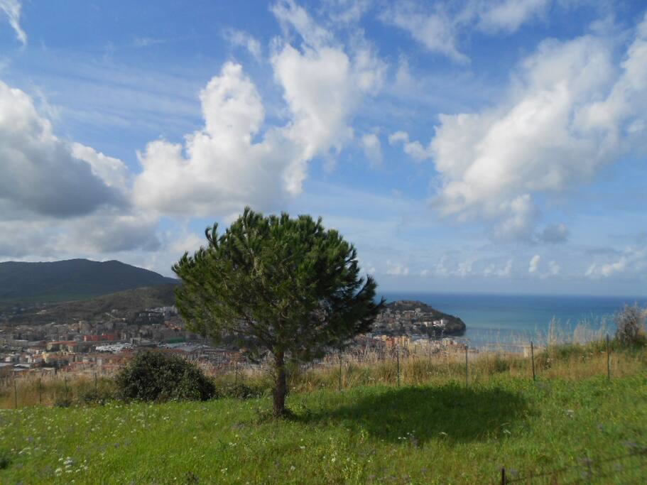 Ausblick auf Afgropoli u Golf von Salerno App4