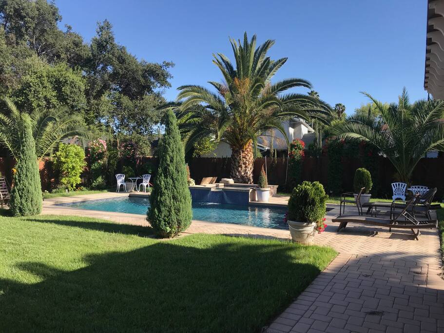 Back yard with pool and BBQ