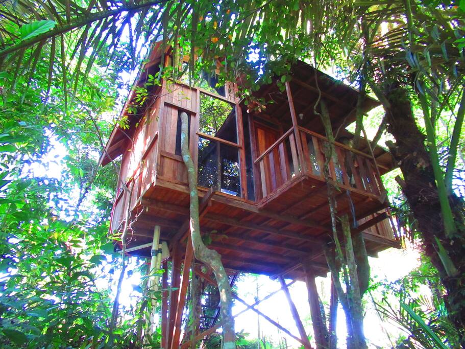 hars garden tree houses nature power Treehouses for Rent 