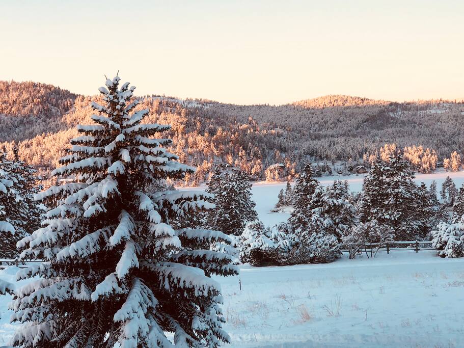 Taken December 23, 2017 at Lone Moose Lodge. We just got 16 inches of straight powder.