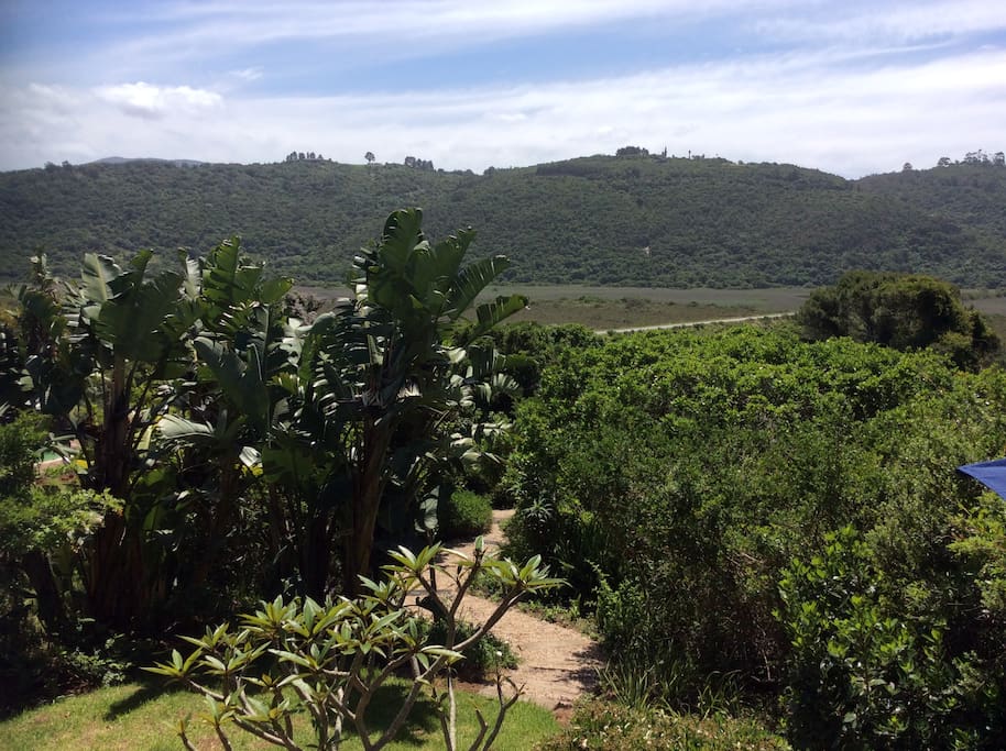 Indigenous Garden overlooking Wilderness National Park