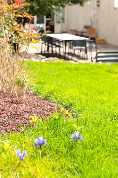 Jardin