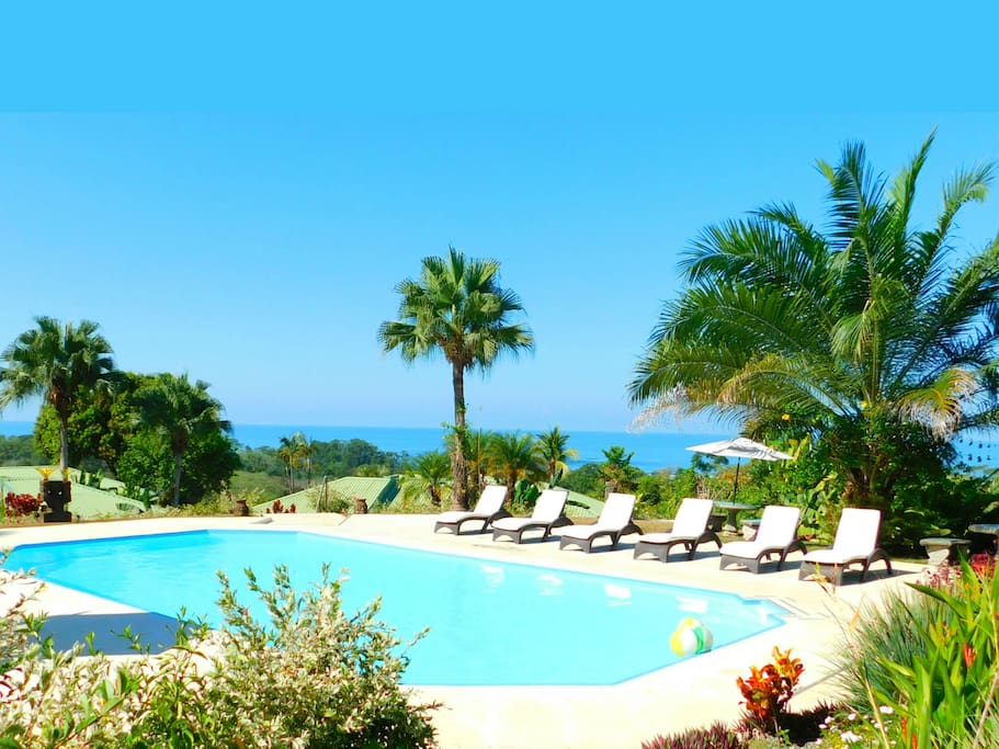 Pool with Ocean View