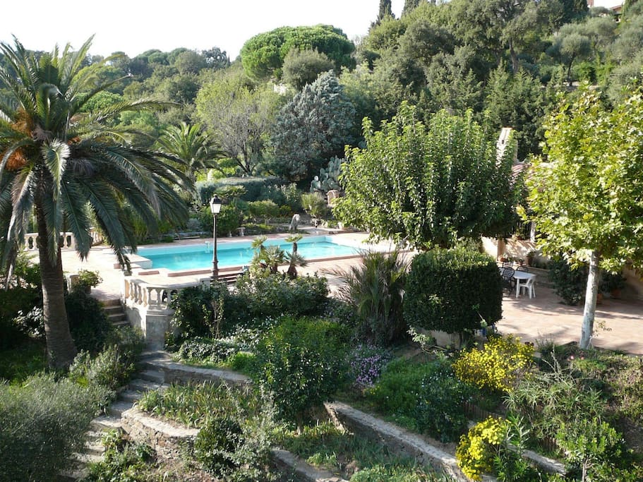 vue jardin et piscine