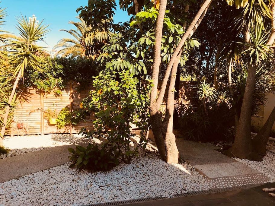 Jardim interior