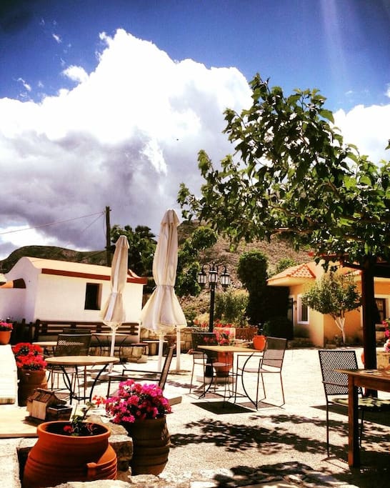 Outside summer view
