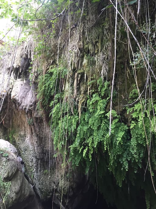 Secret places know by locals only (hiking is required, no wheelchair access:( Уголки, знакомые только местным жителям. Что бы добраться до них, нужно спустится по отвесному уклону, держась за веревку. но оно того стоит!