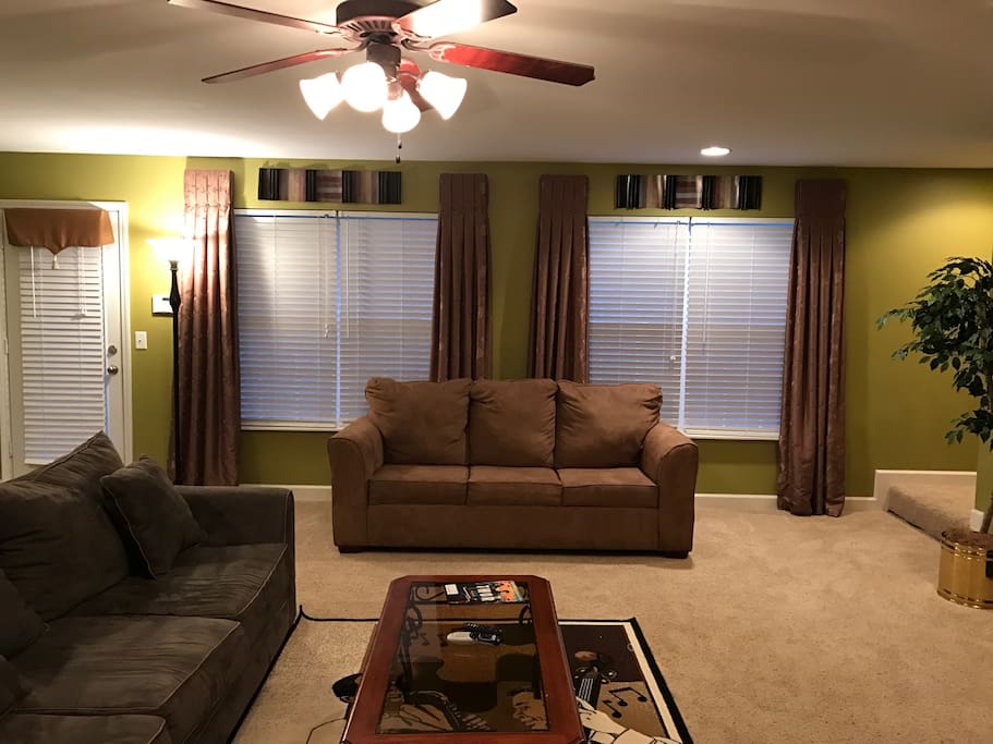 Living / Family Room with Sofa Bed