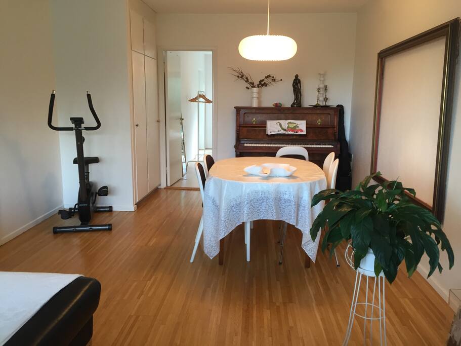 The living room. Here with the dining area, and exercise bike