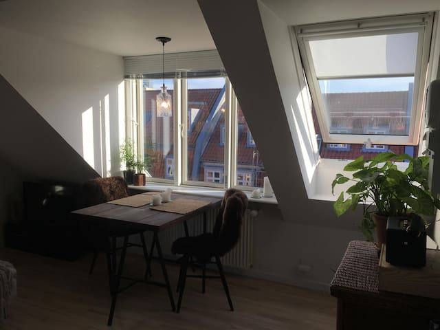 Cozy studio apartment in the city center