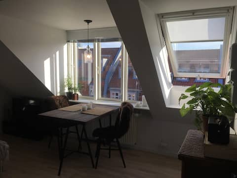 Cozy studio apartment in the city center