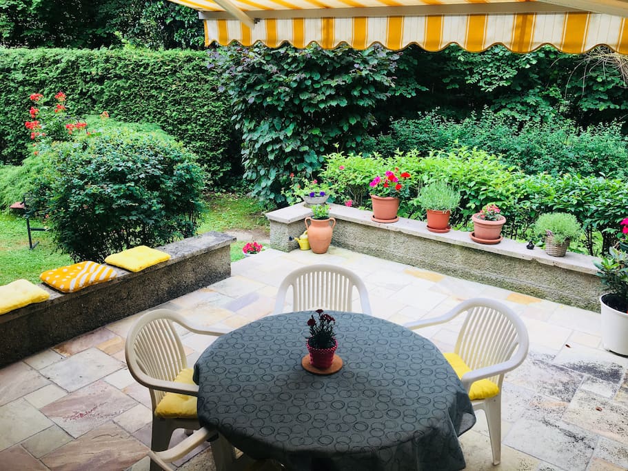 the terrace