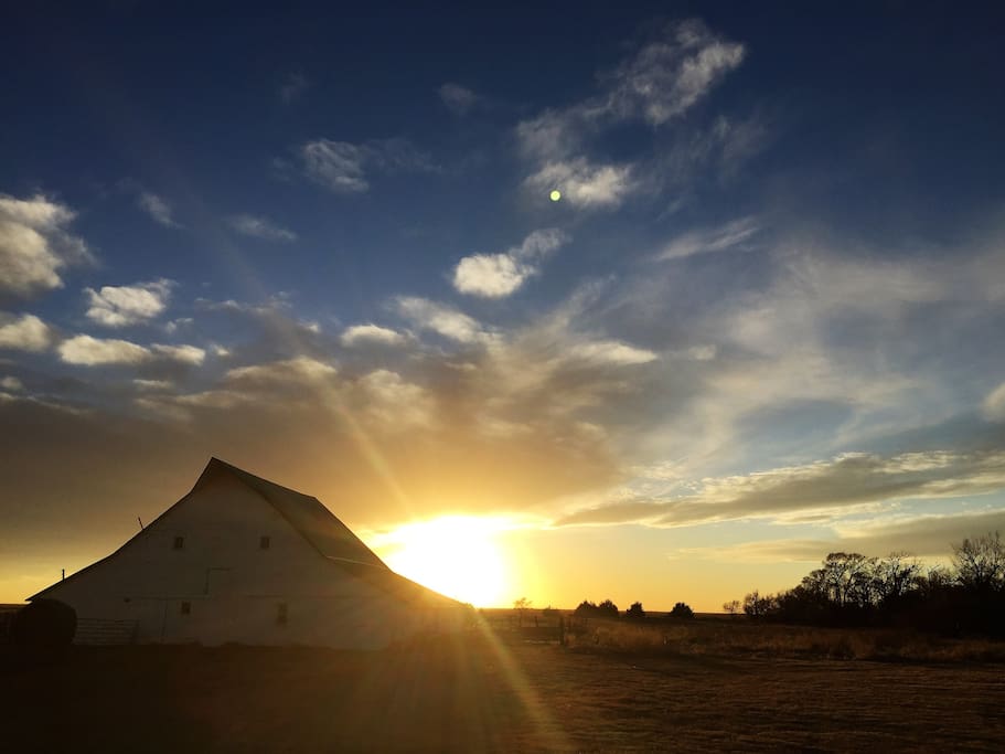 Horse barn