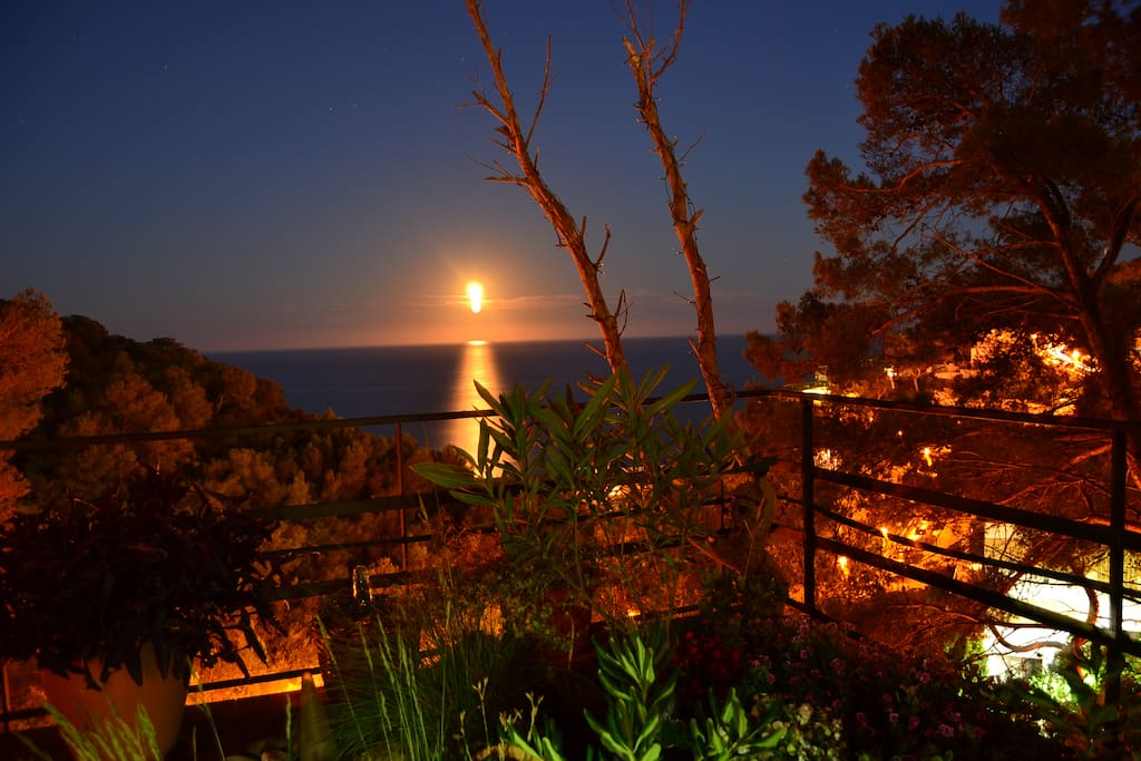 Vista nocturna desde la terraza