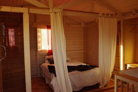 Bungalow  desconexión entre olivos todo el año